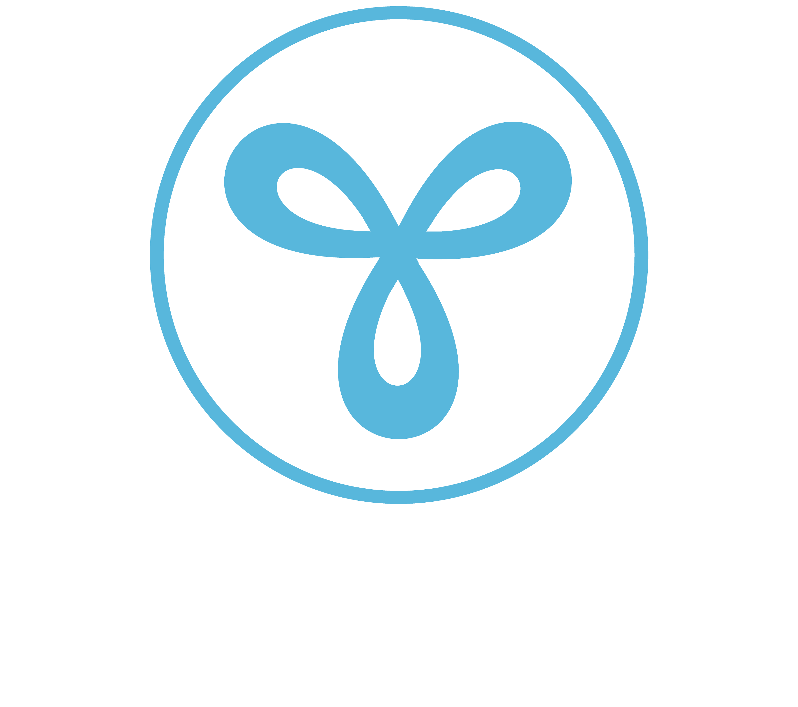 WebDesign Kft. Logo